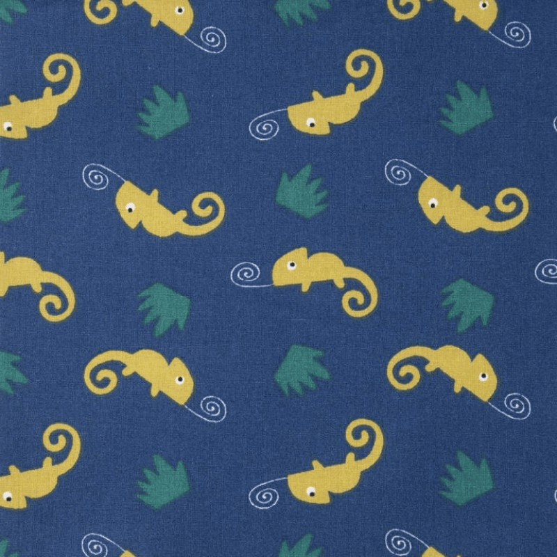 Caméléons-animaux-nature