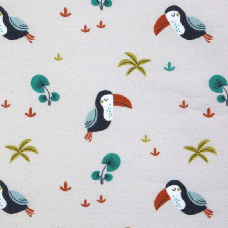 Toucans-oiseau-animaux